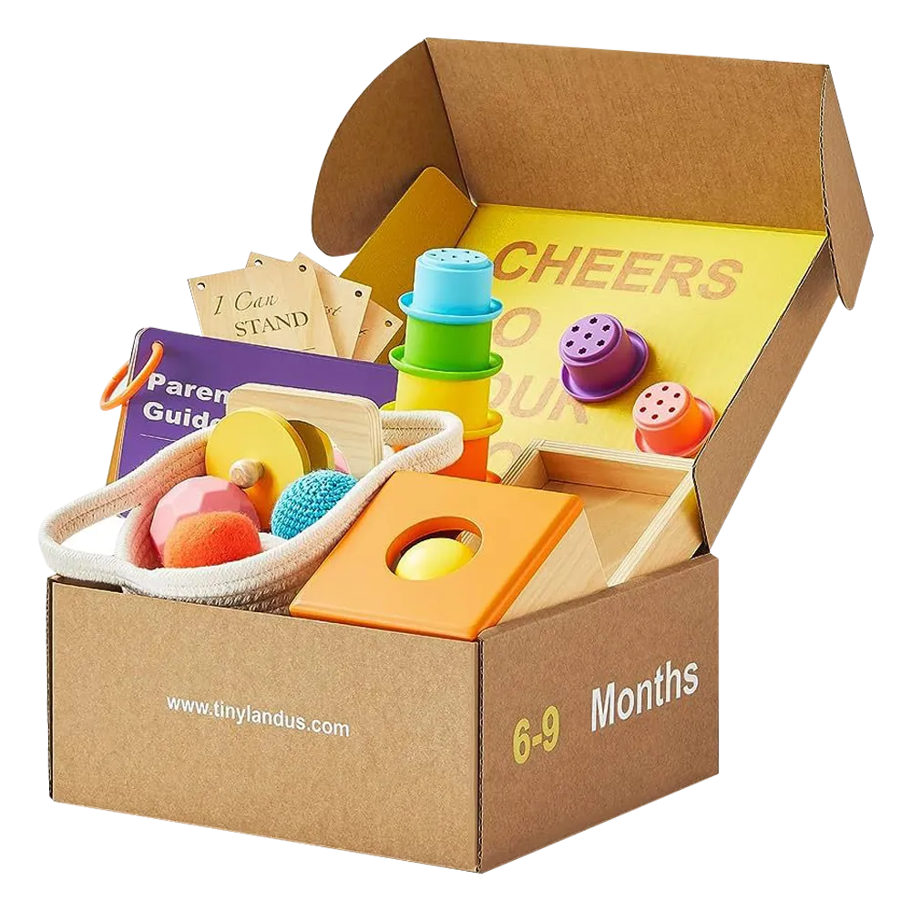 Heavy Double-Wall Corrugated Toy Subscription Kit